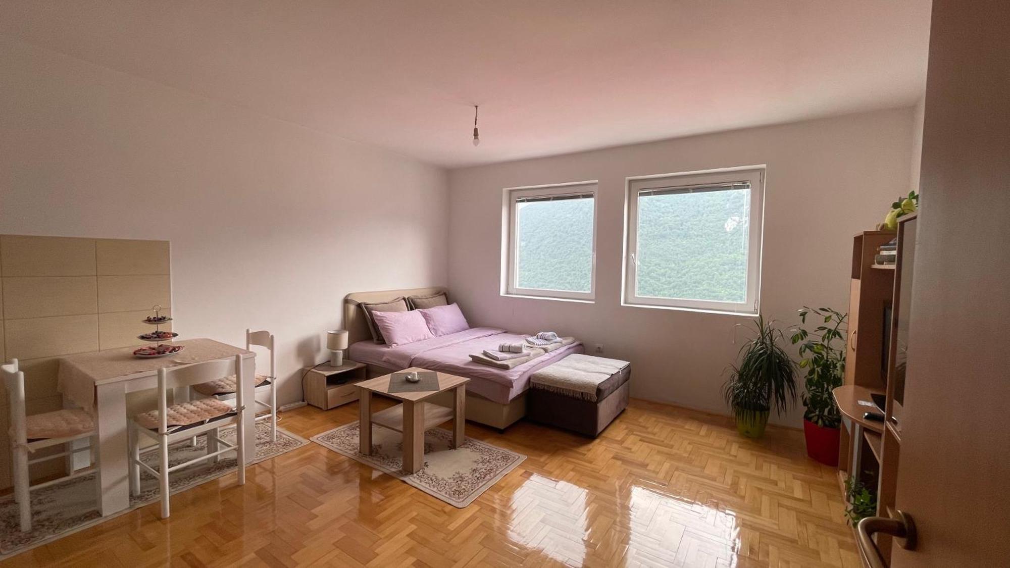 Apartment Jovovic Pluzine Luaran gambar